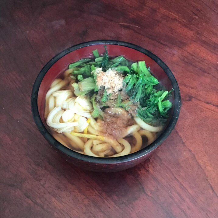 カツオとごま油香るほうれん草のおうどん（温）